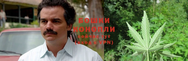 твердый Богданович