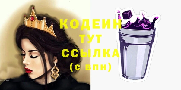 прущий лед Бородино