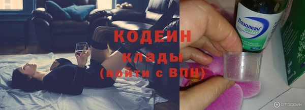 прущий лед Бородино