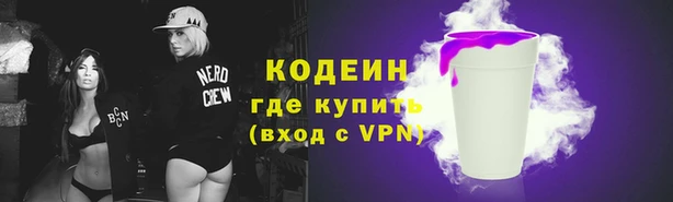 твердый Богданович