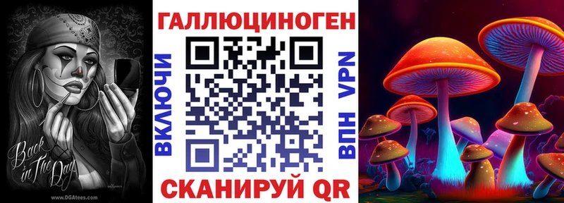 мега ТОР  Володарск  Псилоцибиновые грибы Cubensis 